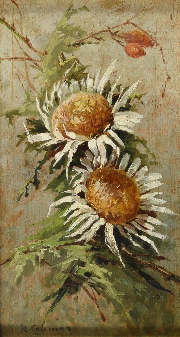 Fiori di cardo